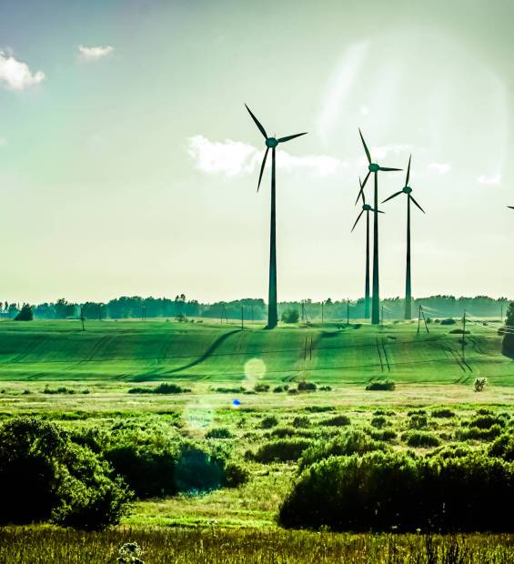 Wind,Generators,,Ecology